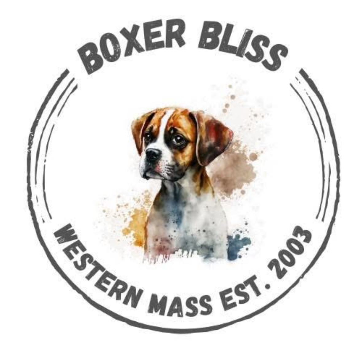 Boxer Bliss